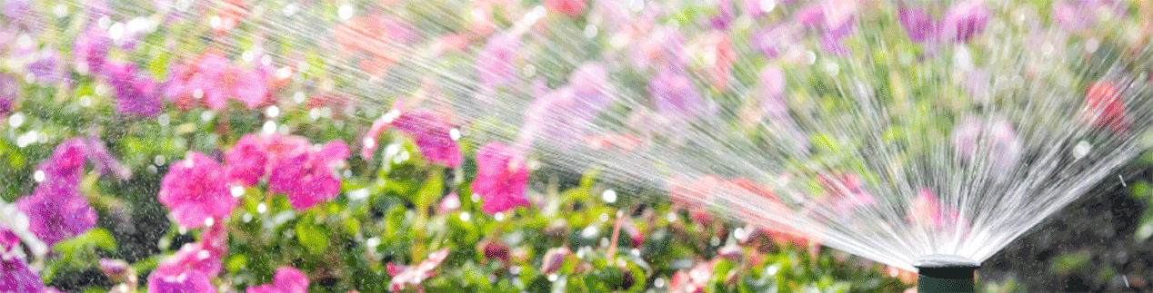 Meet your New Sprinkler System